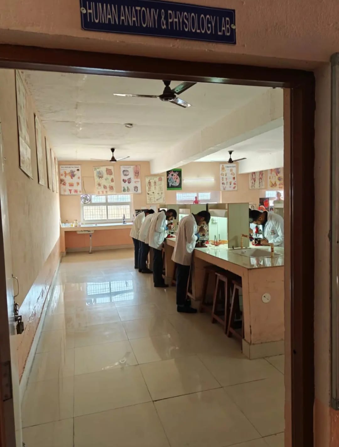 WhatsApp Image 2026-02-12 at 10.18.02 PM (1)