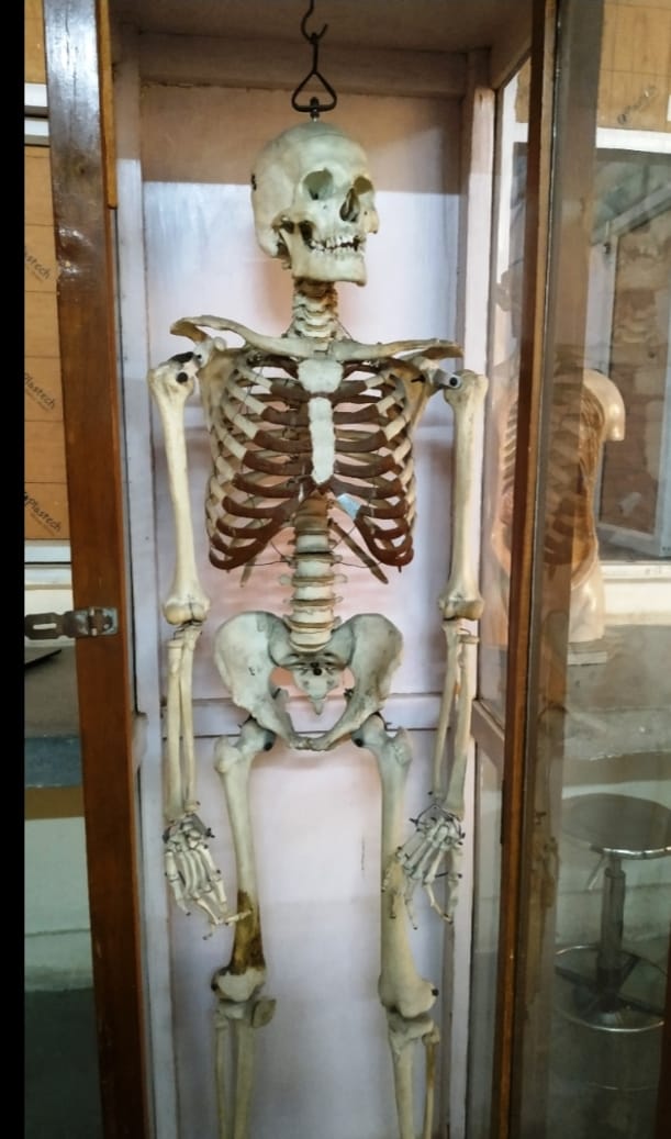 WhatsApp Image 2026-02-12 at 10.18.03 PM